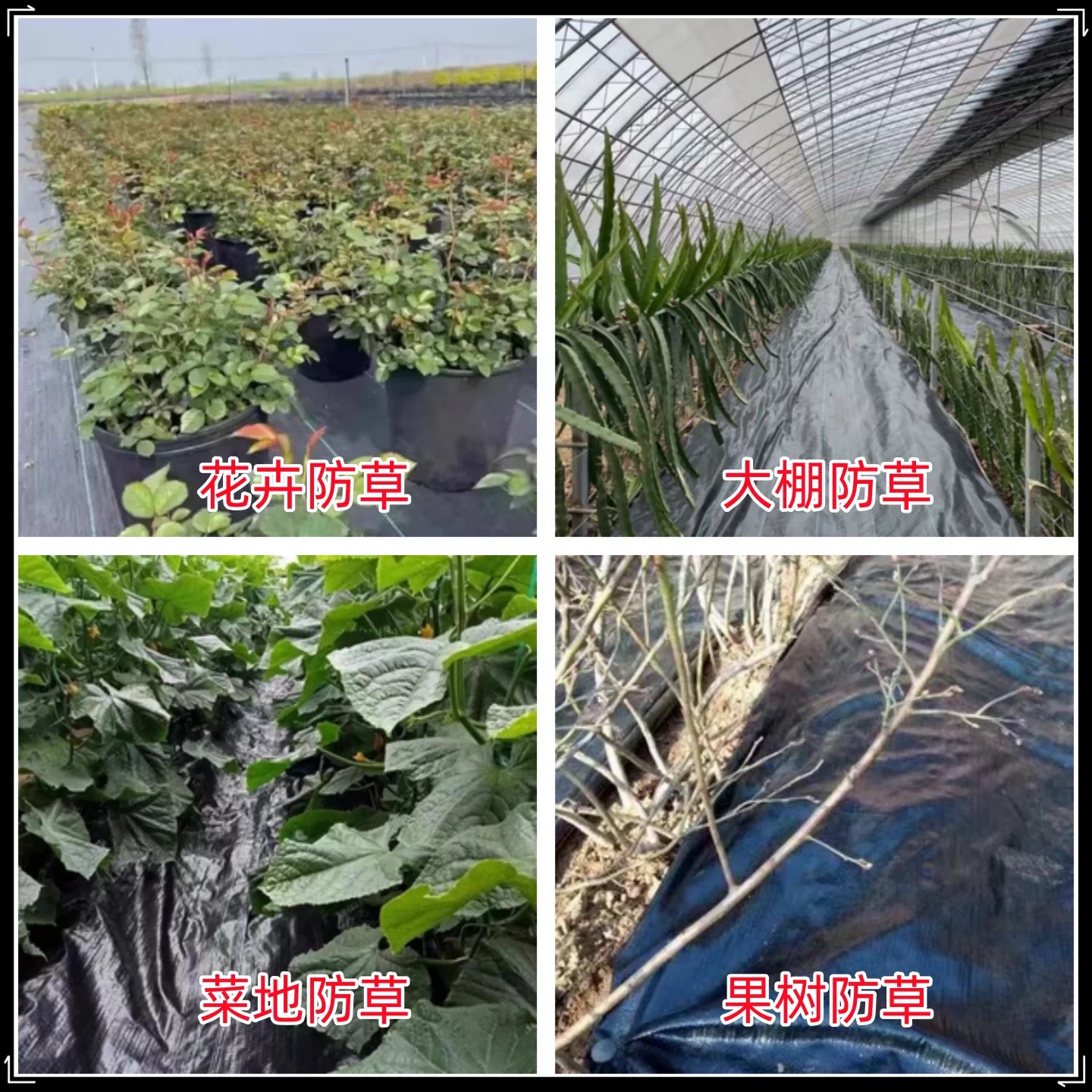驻马店市黑白养殖膜防草布 - 哪里好