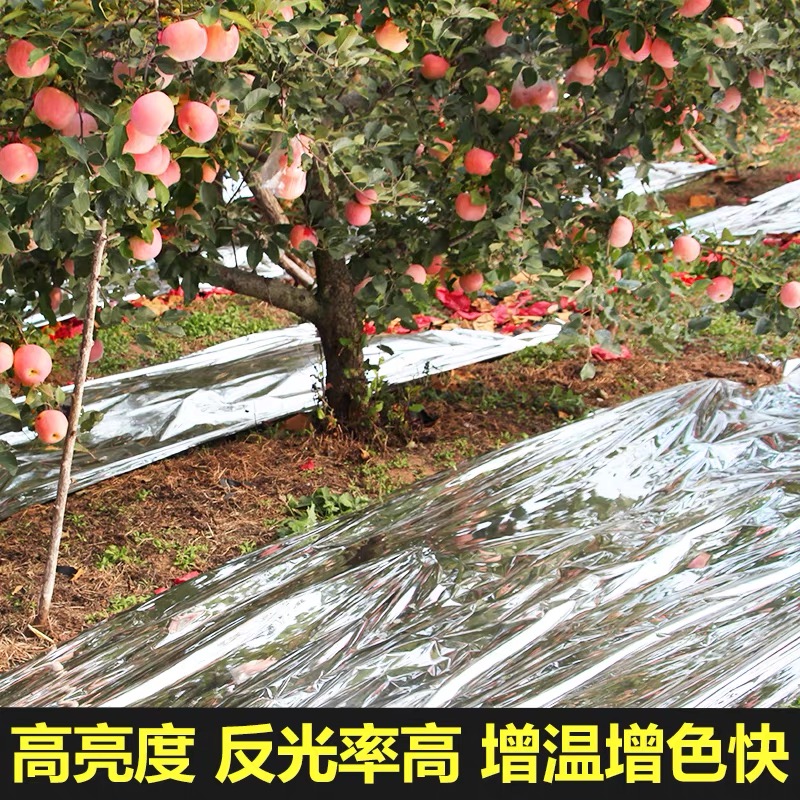 驻马店市农用薄膜果树反光膜 - 推荐